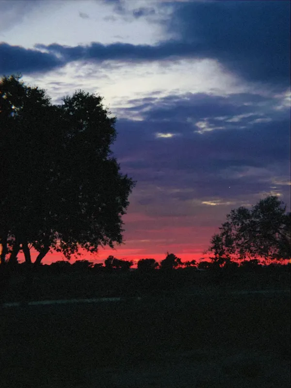 A thin red line of last light under dark clouds and a big tree
