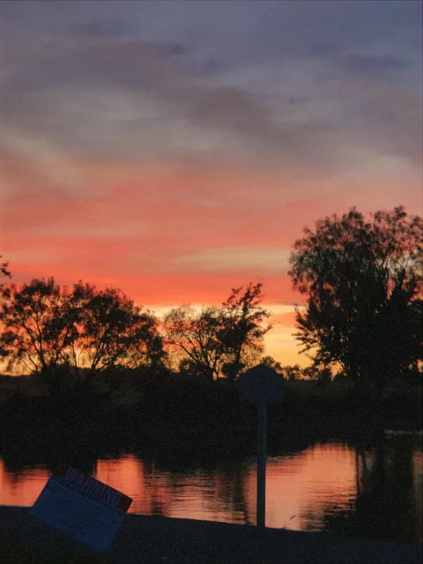 Silhouetted trees and a pond reflecting a red-orange sunset