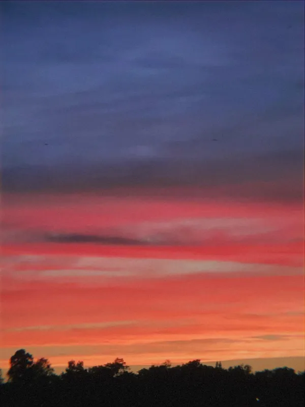 Bands of coral and pink cloud under a blue-violet sky